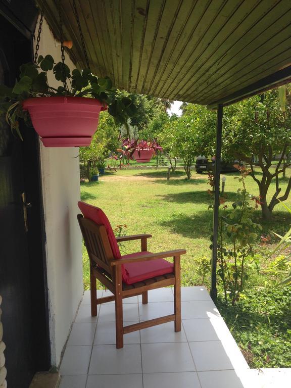 Kwatera prywatna Friends Pension&camping Çıralı