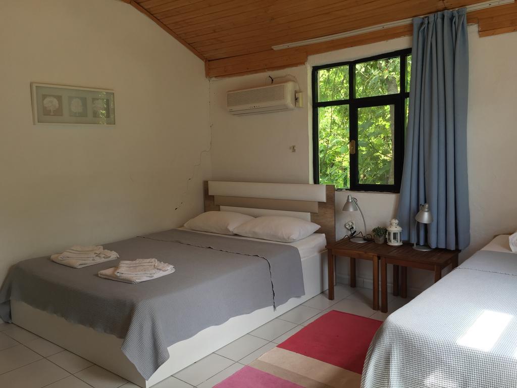 Kwatera prywatna Friends Pension&camping *