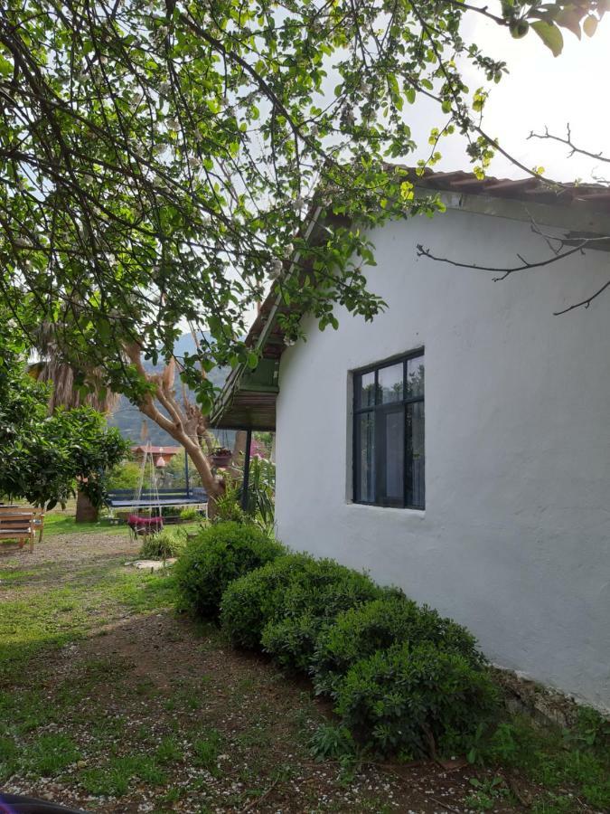 Friends Pension&camping * Çıralı